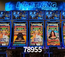 Descubra o Mundo do Cassino Online com 78955