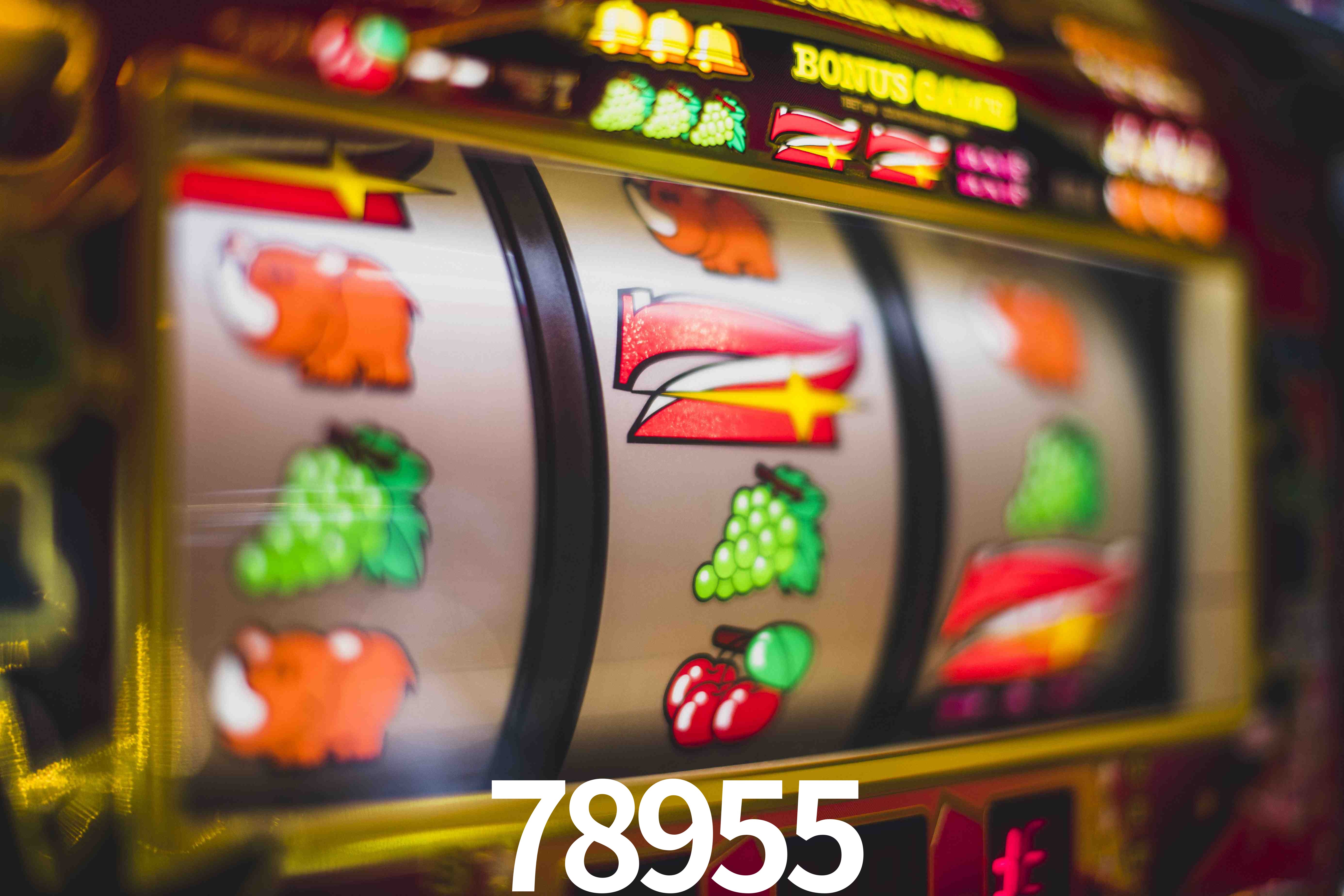 Tennis Betting 78955